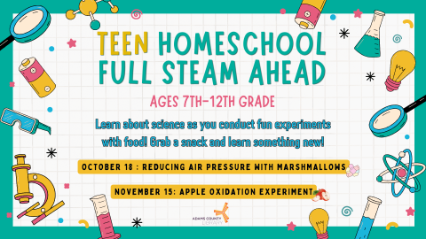 Teen Homeschool Full Steam Ahead