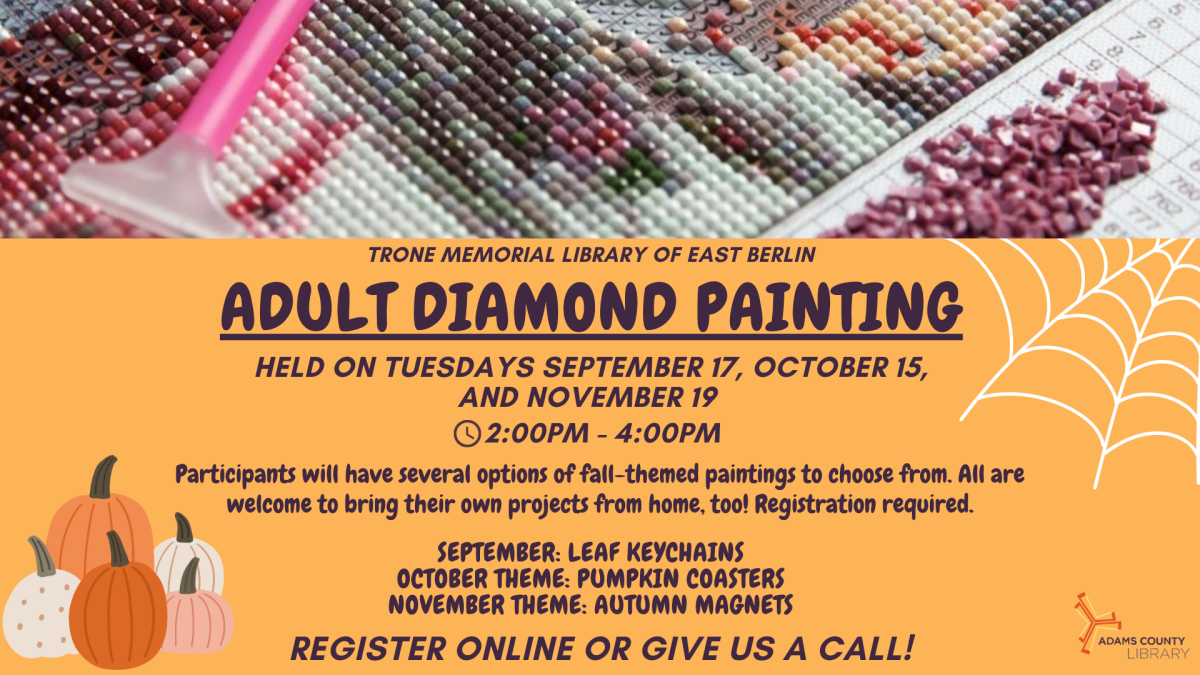 Fall adult diamond painting flyer